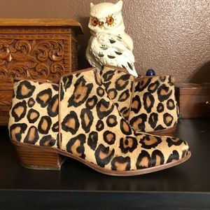 Sam Edelman Petty calf hair bootie